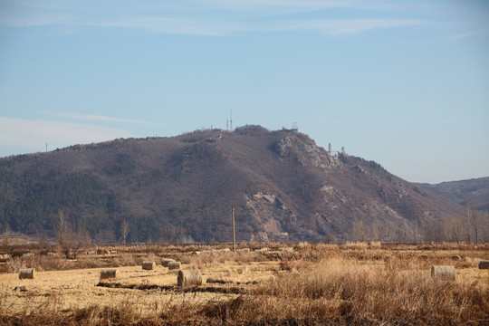 水稻田