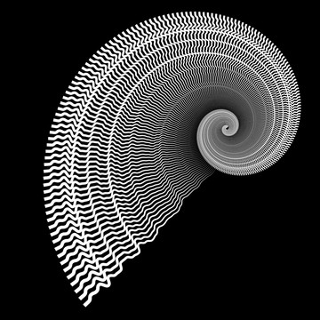 曲线鹦鹉螺