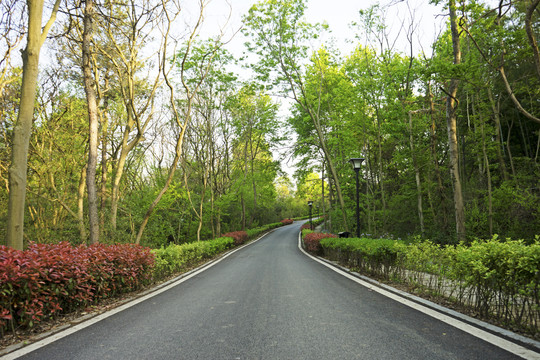 林间公路