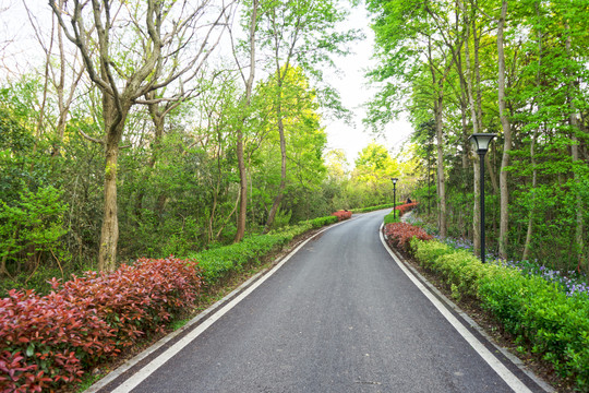 林间公路