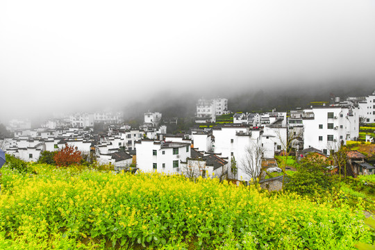 婺源新农村风光