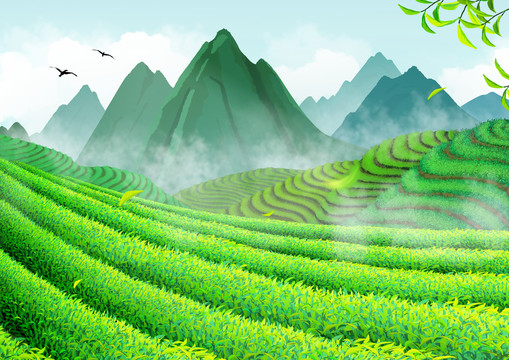 梯田茶山自然山水山川風(fēng)景插畫
