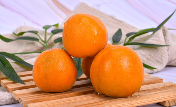 黄杏高清图