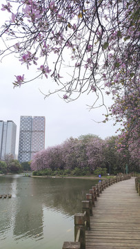 柳东公园