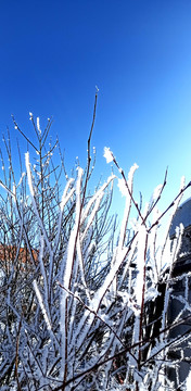 冰雪草原