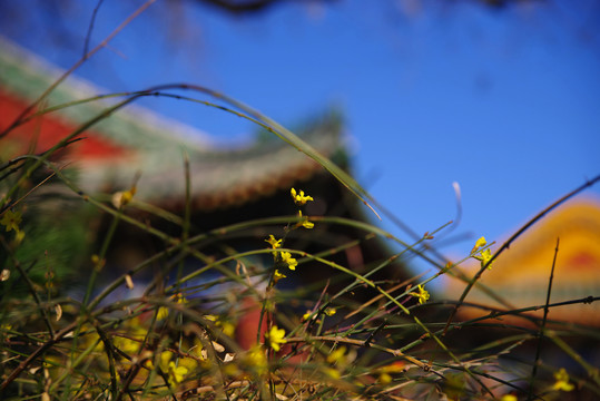 普度寺明英宗夺门之变发生处