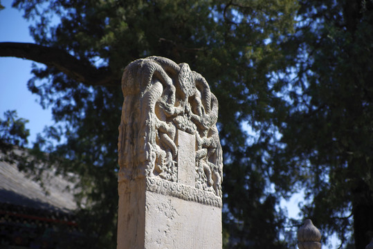 北京三大花卉寺庙之大觉寺