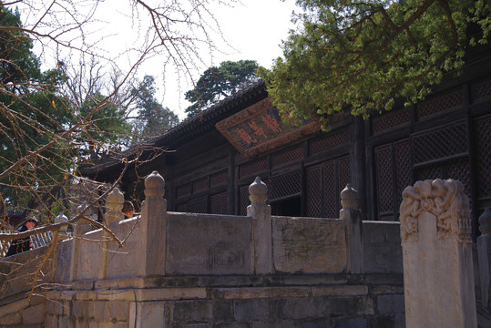 北京三大花卉寺庙之大觉寺