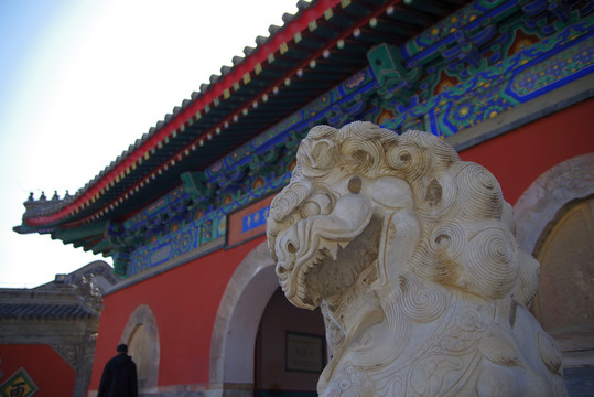 北京三大花卉寺庙之大觉寺