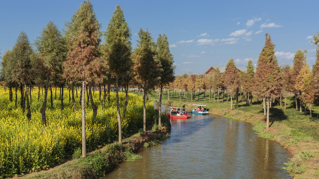 云南昆明滇池湿地生态环境风光