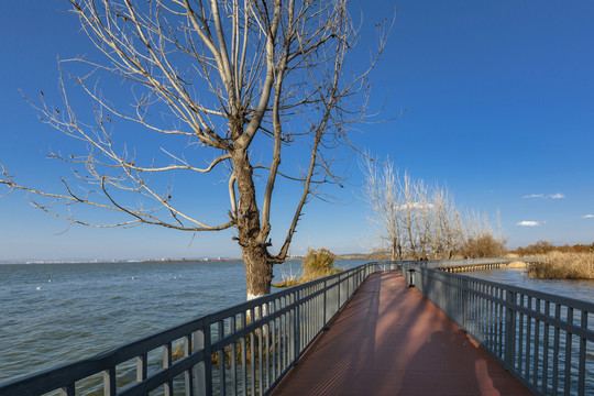 蓝天湖泊走廊滇池自然环境景观
