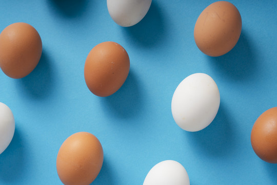 顶视图-蓝色背景上的棕色和白色鸡蛋。
