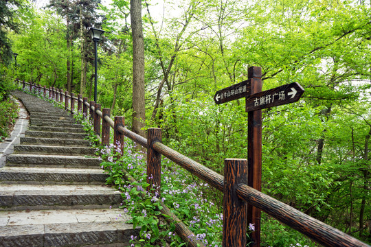 庐江县金牛山环山漫道