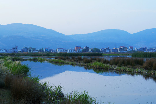 农村田野