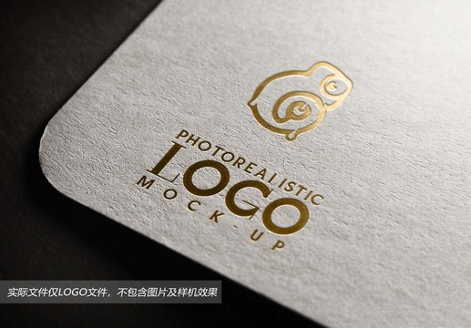 变色龙LOGO