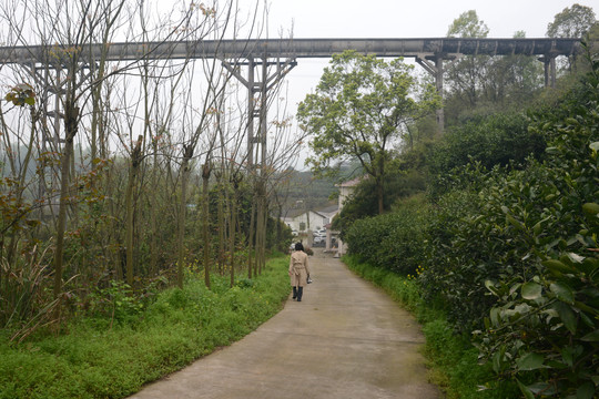 田间水渠