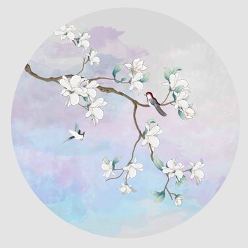 玉蘭花