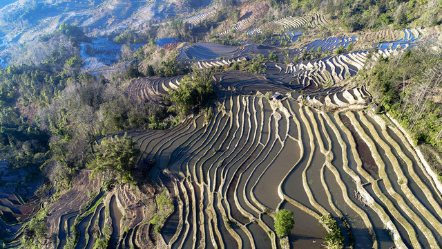 元阳梯田