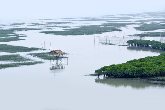 平静的霞浦滩涂