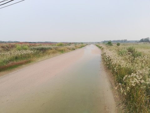 田野中的河流