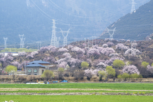 电力建设