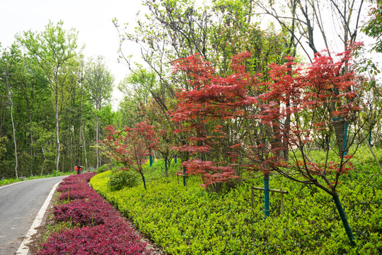 庐江县金牛山公园