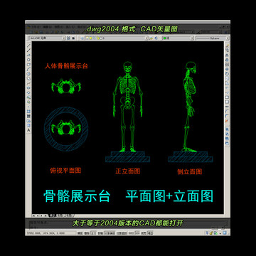 人體骨骼CAD平面圖立面圖