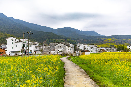 婺源新农村风光