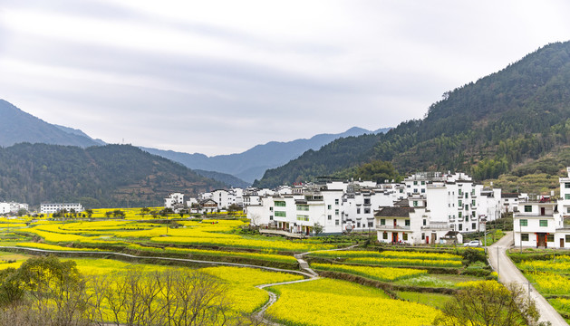 婺源新农村风光