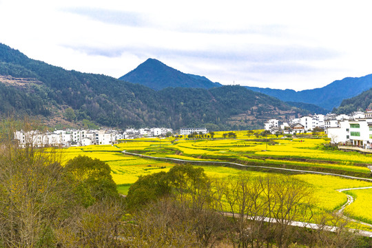 婺源新农村风光