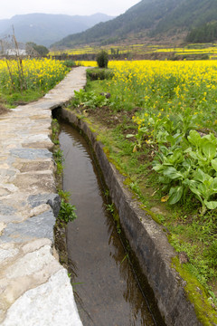 水渠