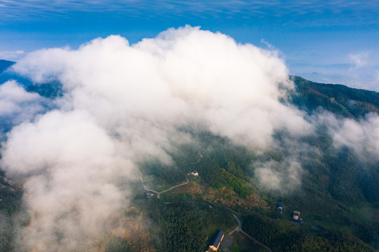 江西上栗杨岐山云海