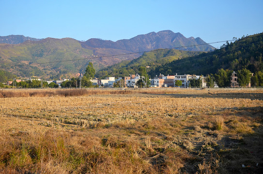 山区农村稻田