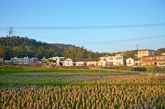 广东农村