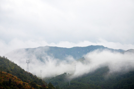 雨雾山林