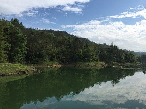 青山绿水