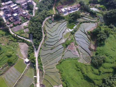 鸟瞰图梯田