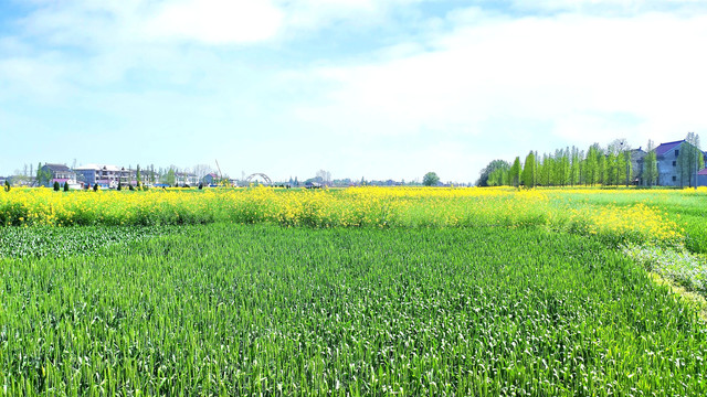 田间地头