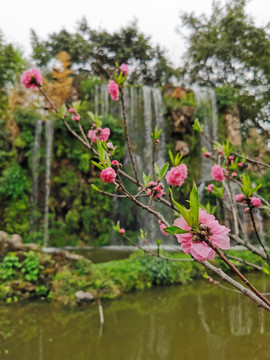 成都百花潭公园