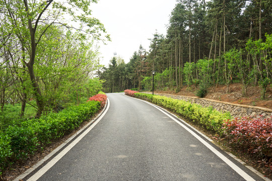 景区道路