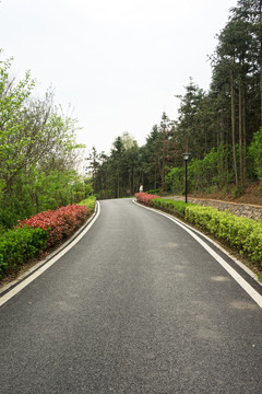 景区道路