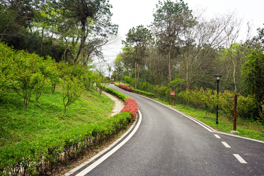 景区道路