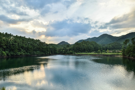 山湖树林