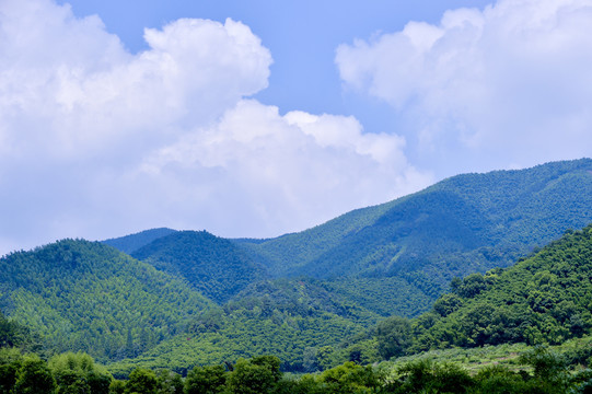 山湖树林