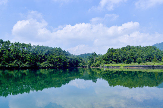 山湖树林