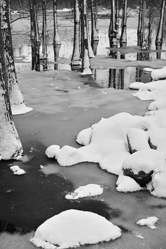 雪景