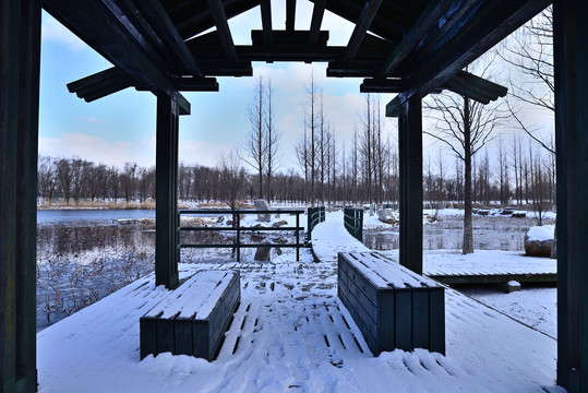 雪景