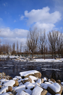 雪景