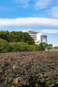 上海大学宝山校区