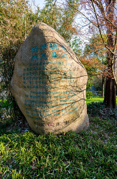 上海宝山吴淞炮台湾国家湿地公园